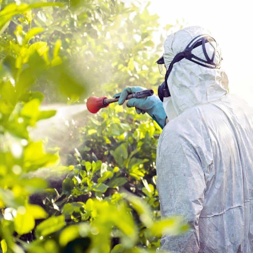 Pesticidas y químicos