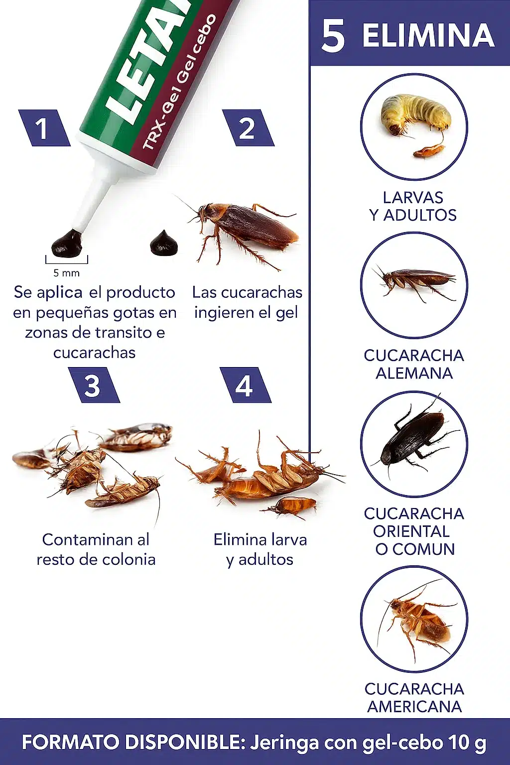 Funcionamiento Zotal Letal