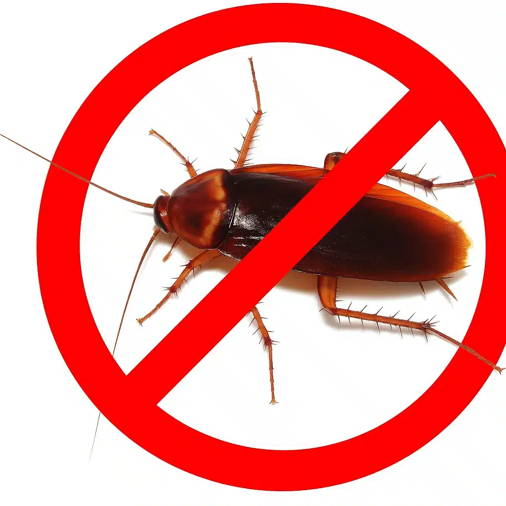 Símbolo anti-cucarachas